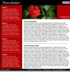 News Letter 4